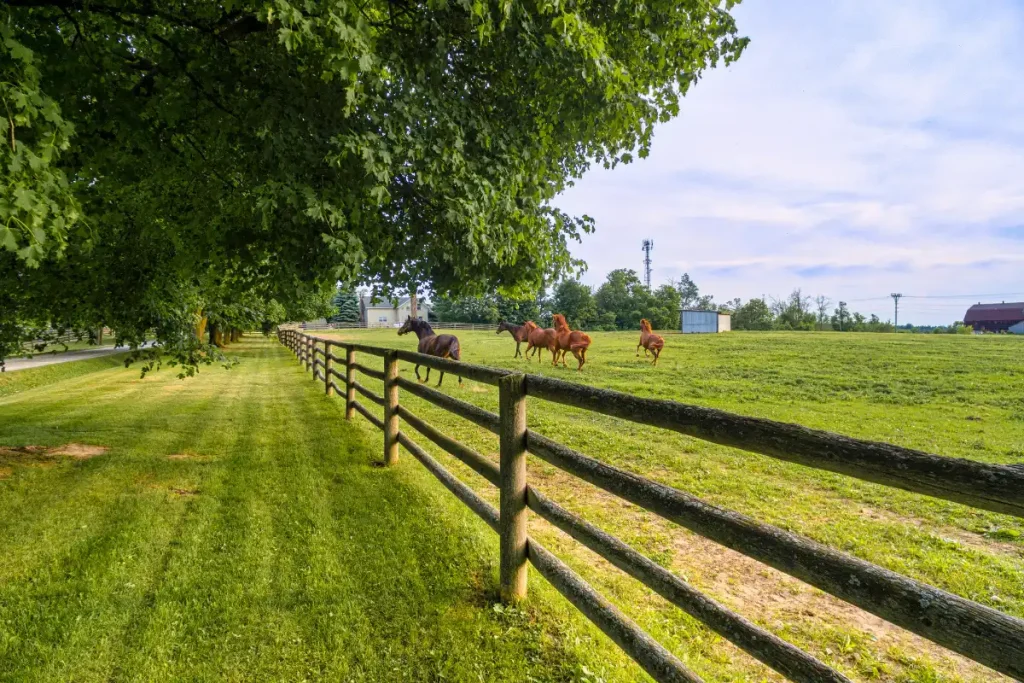 Lakewood Ranch countryside and open green space in Florida