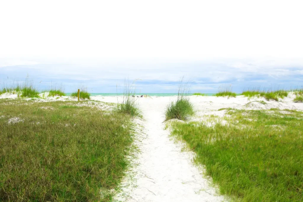 Wellness and lifestyle finds in a calm Florida setting